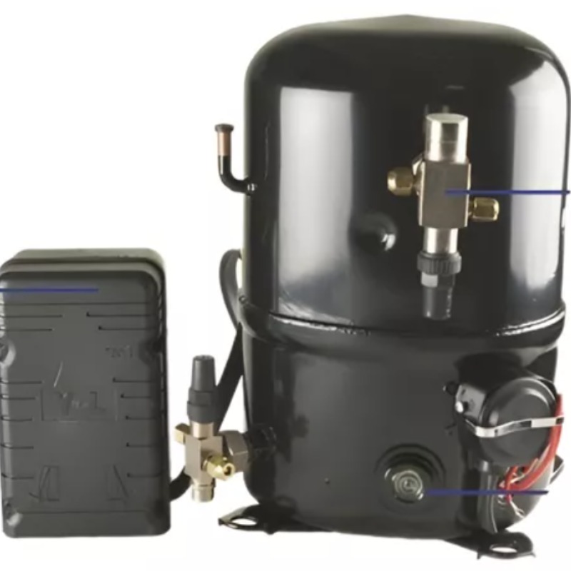 Motor 5 Hp Recambio Acmar