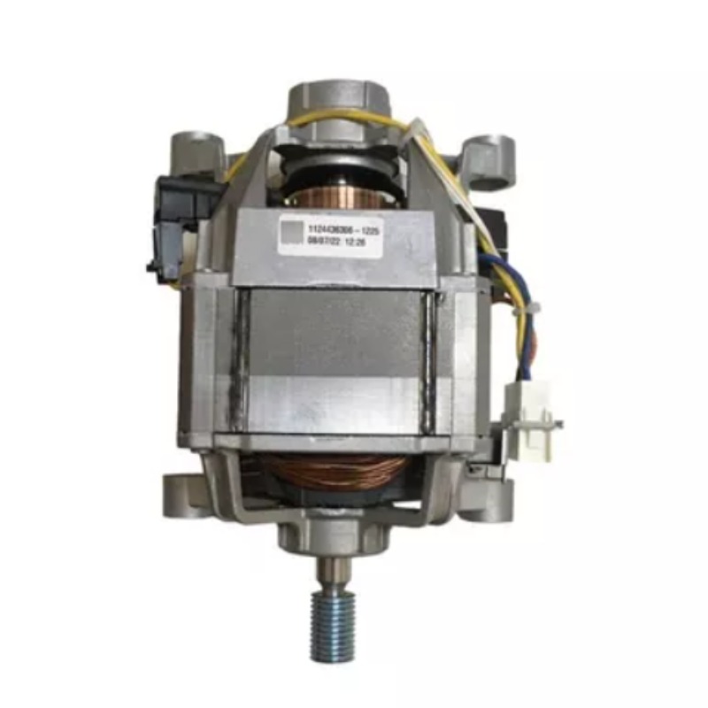 Motor Lavarropas Siam Inverter Lsi-lvf100b