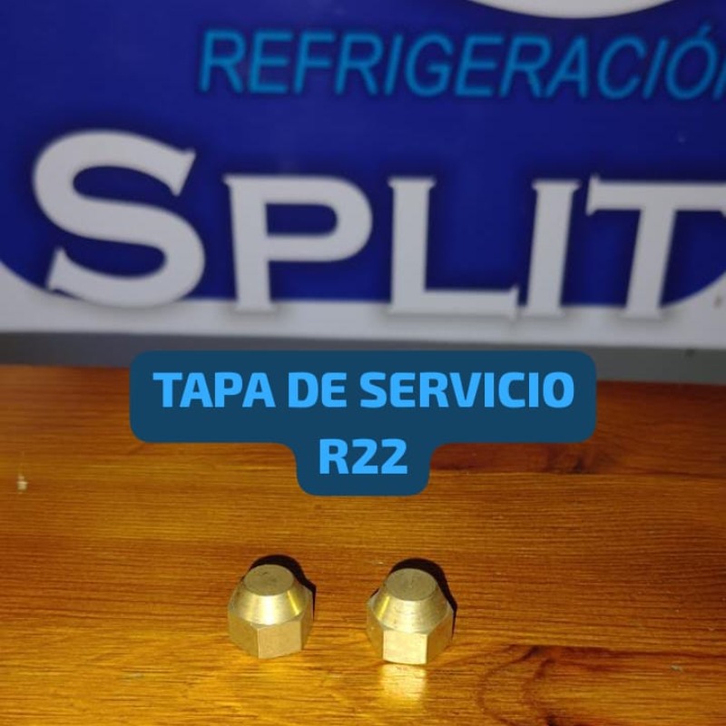 Tapa De Servicio R22  (estante 17) Tapa Livian *