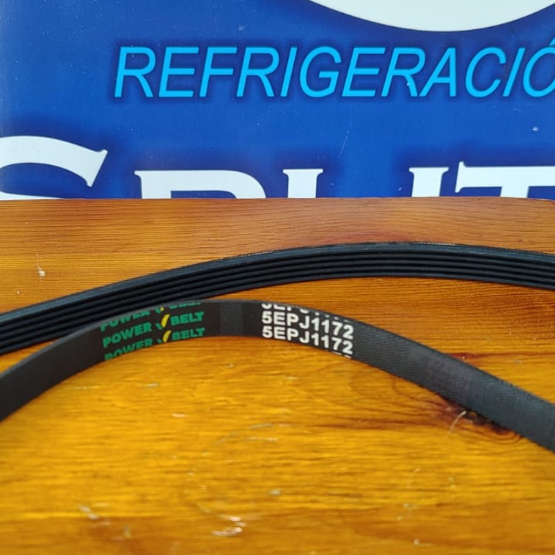 Correa 1172 Multiv Megadine 