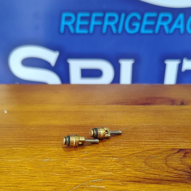 Ovulo R134 Ford