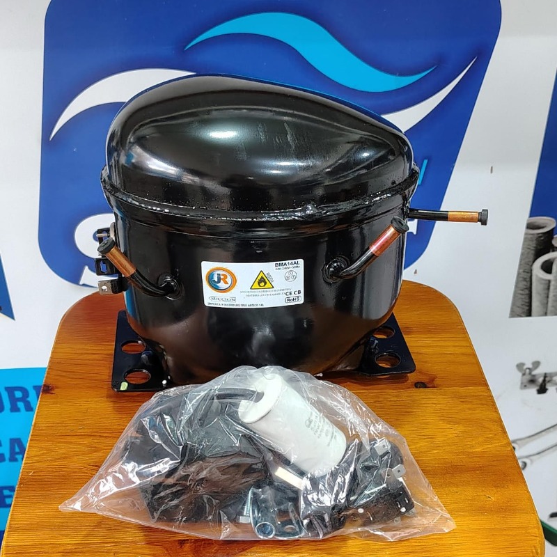 Motor 1/3 Hp R600 Jr